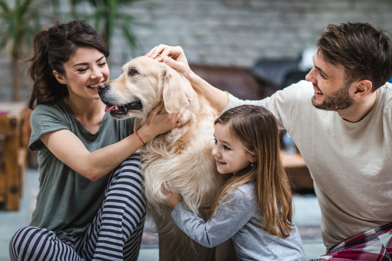 Health Benefits Of The Family Pet - Reflections Magazine 